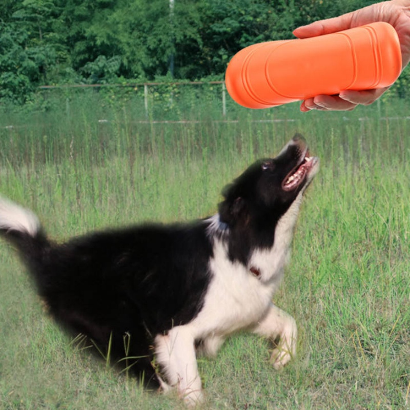 강아지용 씹을 수 있는 부드러운 고무 소재의 플라잉 디 - Flying Disc Dog Training Toy 리뷰 및 가격
