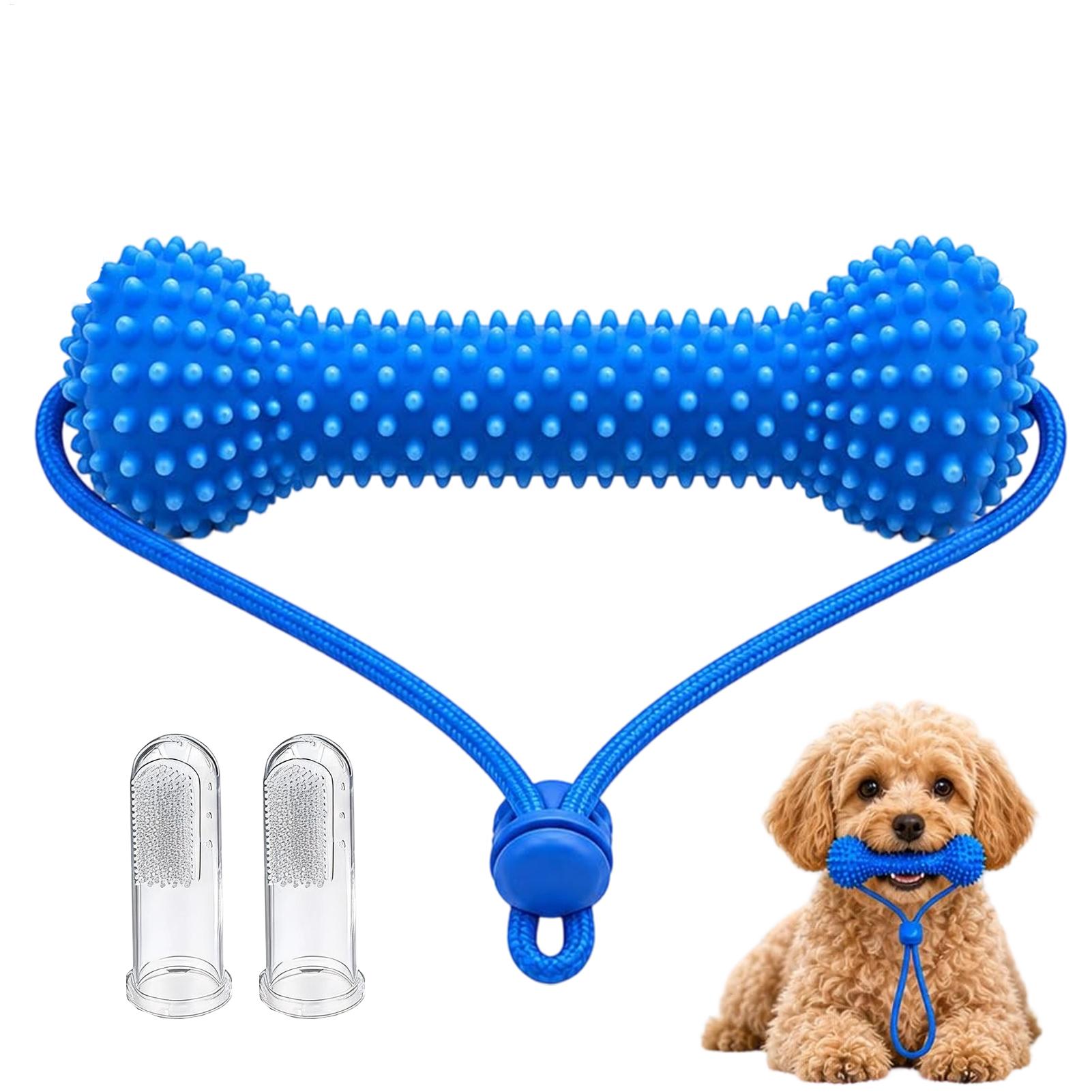 강아지용 치아 세정 장난감, 고무 재질의 반려동물용 칫 - Teeth Cleaning Dog Chew Bone 리뷰 및 가격