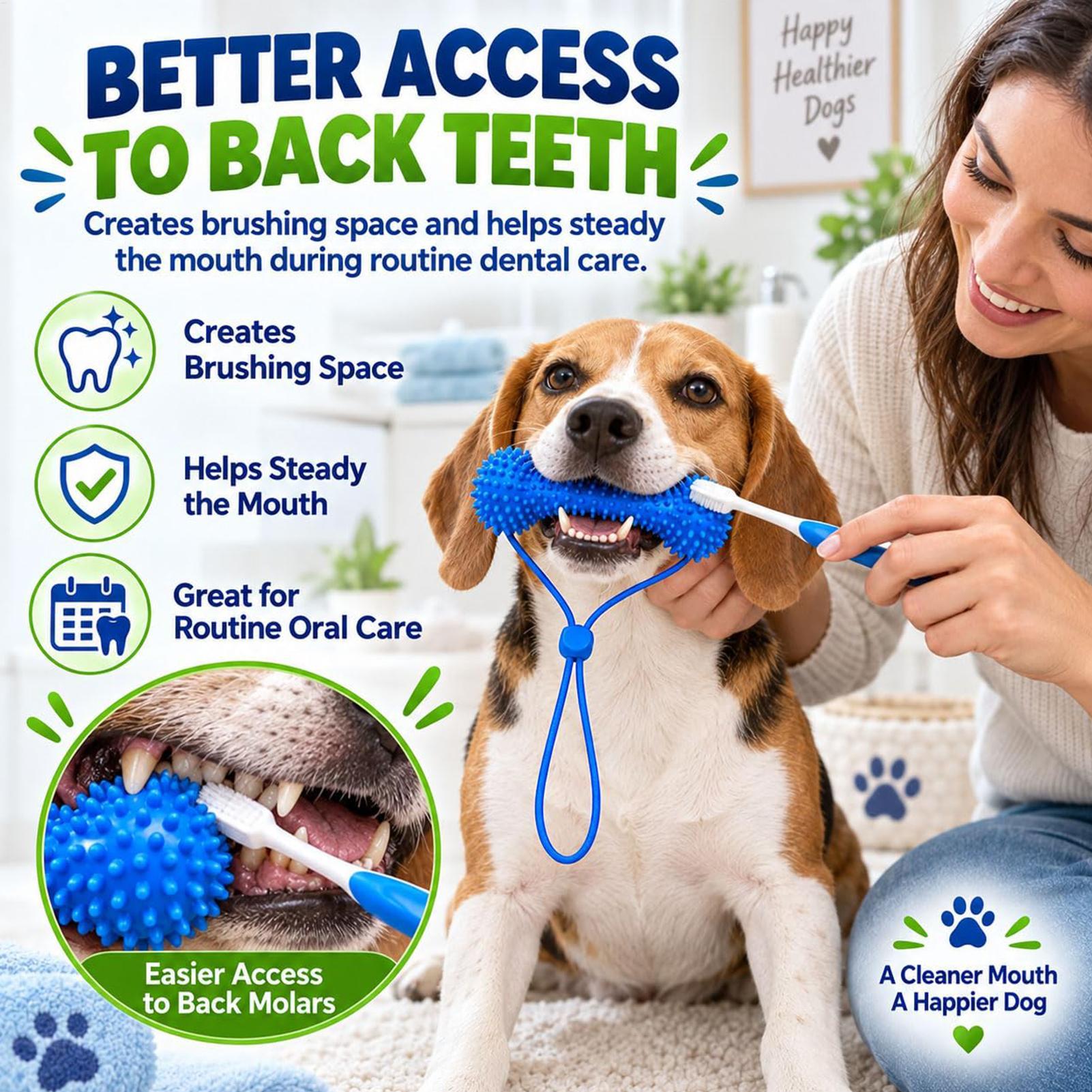 강아지용 치아 세정 장난감, 고무 재질의 반려동물용 칫 - Teeth Cleaning Dog Chew Bone 리뷰 및 가격