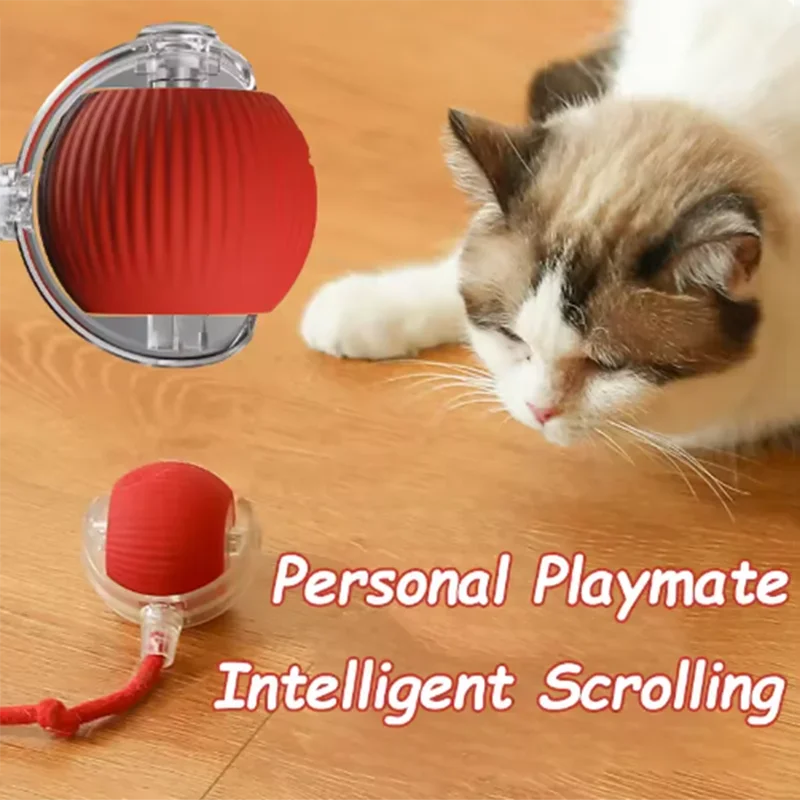 인기 있는 고양이 장난감은 자동으로 움직여 고양이를 즐 - Automatic Moving Dog Ball 리뷰 및 가격