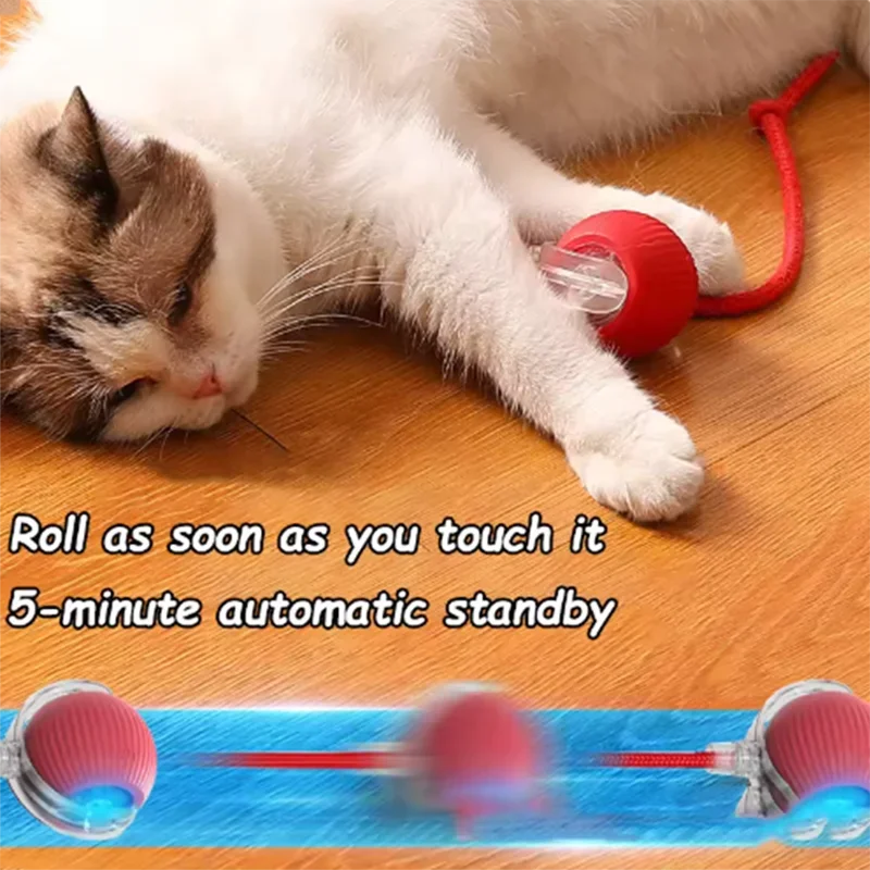 인기 있는 고양이 장난감은 자동으로 움직여 고양이를 즐 - Automatic Moving Dog Ball 리뷰 및 가격