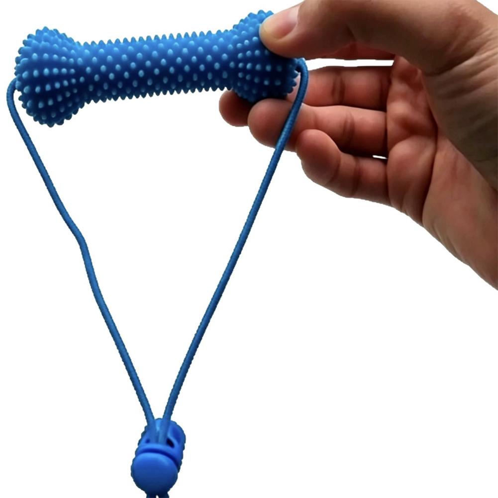 반려동물용 치아 관리용 씹는 장난감, 2-in-1 씹는 - Interactive Squeaky Plush Dog Toy 리뷰 및 가격