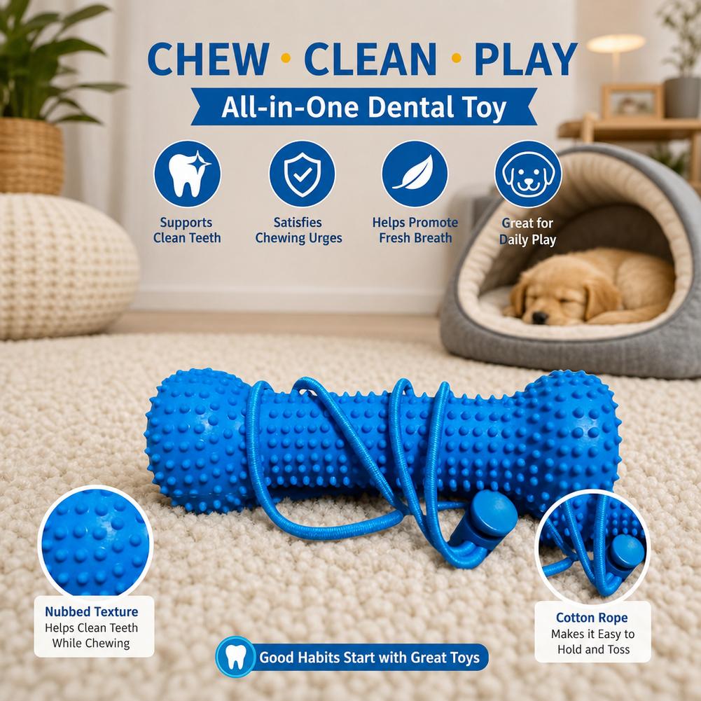 강아지용 치아 발육기용 씹는 장난감, 플라스틱 뼈 모양 - Teeth Cleaning Dog Chew Bone 리뷰 및 가격